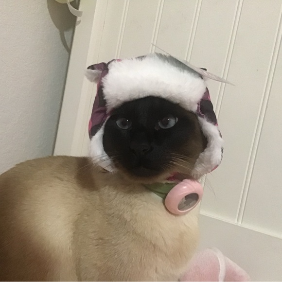 Meet your Posher, Eva - Picture 10 of 13